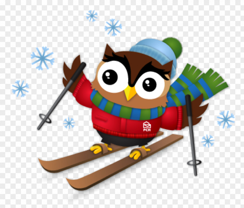 Owl Skiing Snow Clip Art PNG