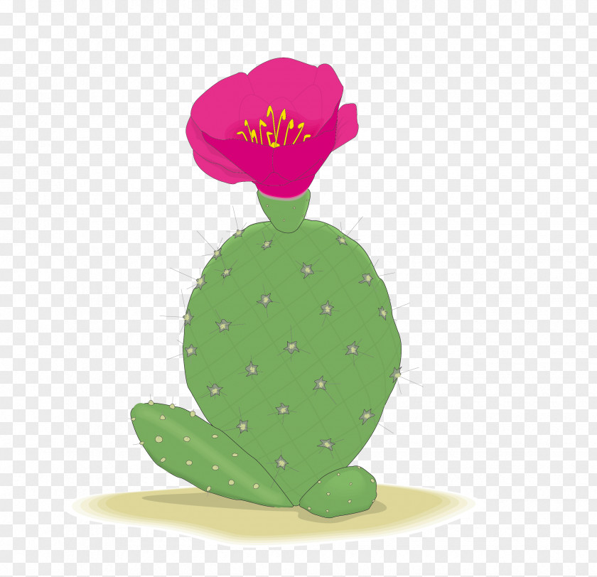 Prickly Pear Blossom Barbary Fig Cactaceae Flower PNG
