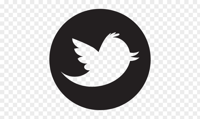 Social Media Logo Black And White PNG