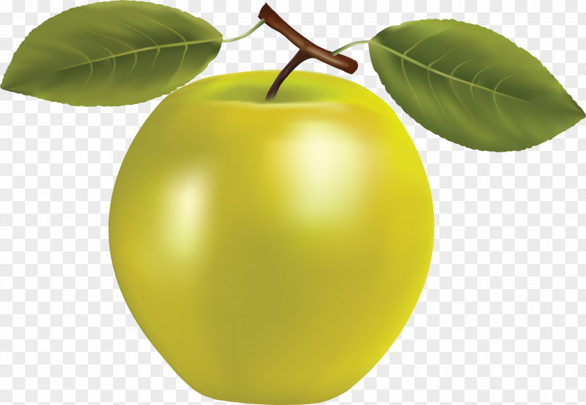 Apple Granny Smith Fruit Icon PNG