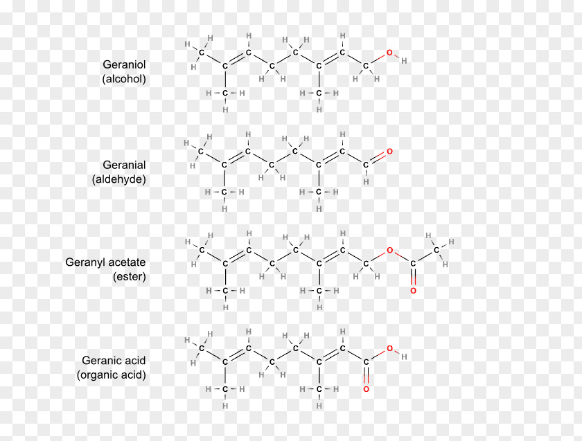 Oil Functional Group Essential Organic Chemistry PNG