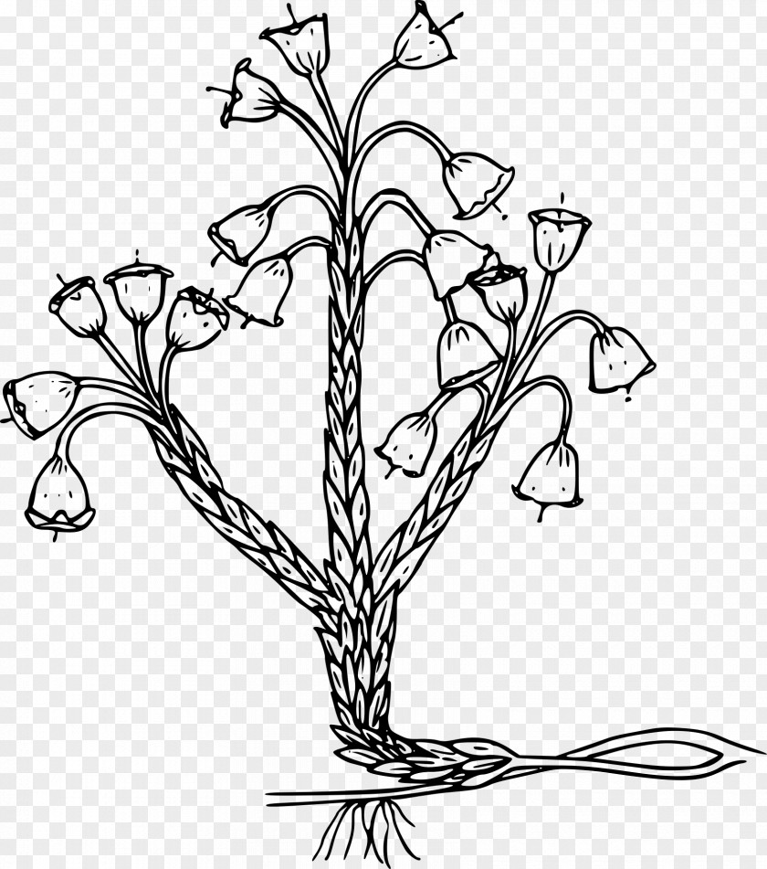 Plant Black And White Clip Art PNG