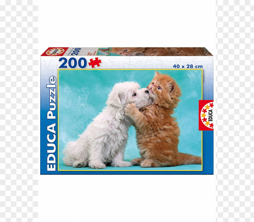 Toy Jigsaw Puzzles Puzz 3D Educa Borràs Game PNG