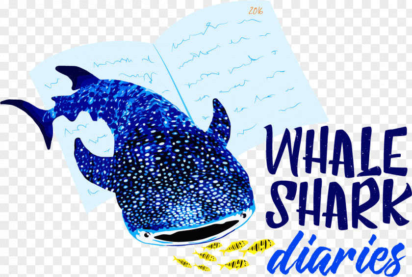 Whale Shark Great White Marine Mammal PNG