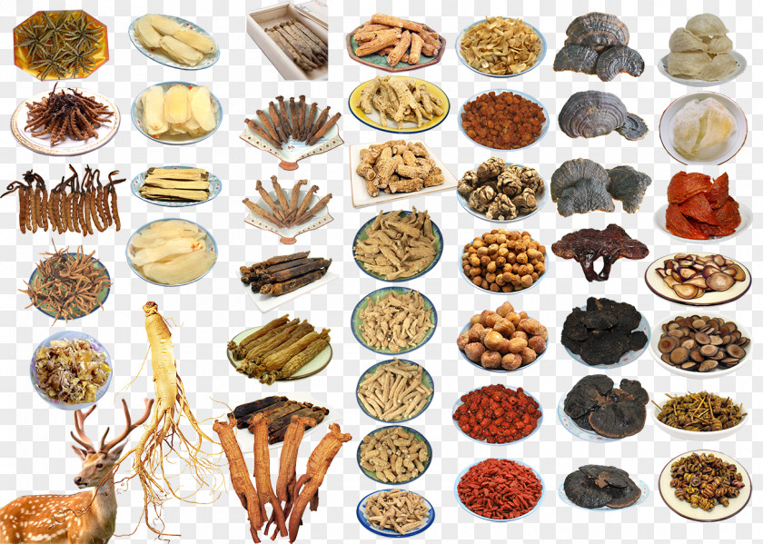 China Traditional Chinese Medicine Disease Herbology Health PNG