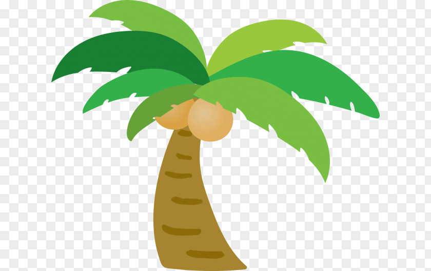 Coconut Arecaceae Tree PNG