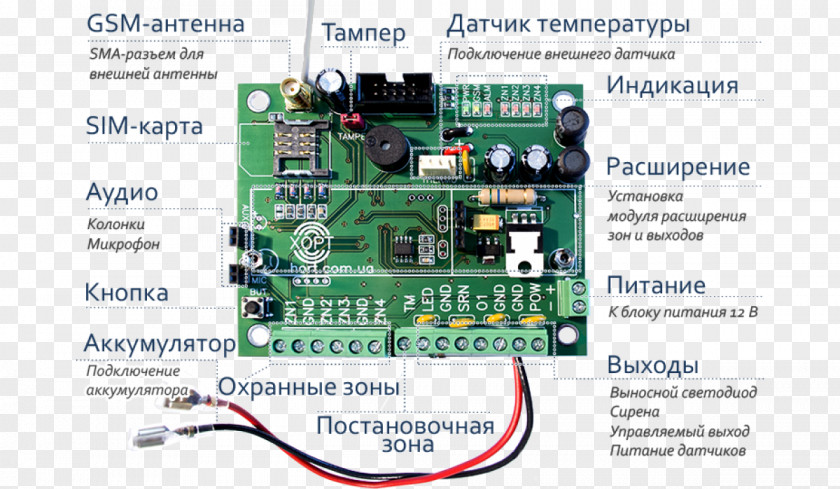 Hort TV Tuner Cards & Adapters Electronic Component Engineering Microcontroller Electronics PNG