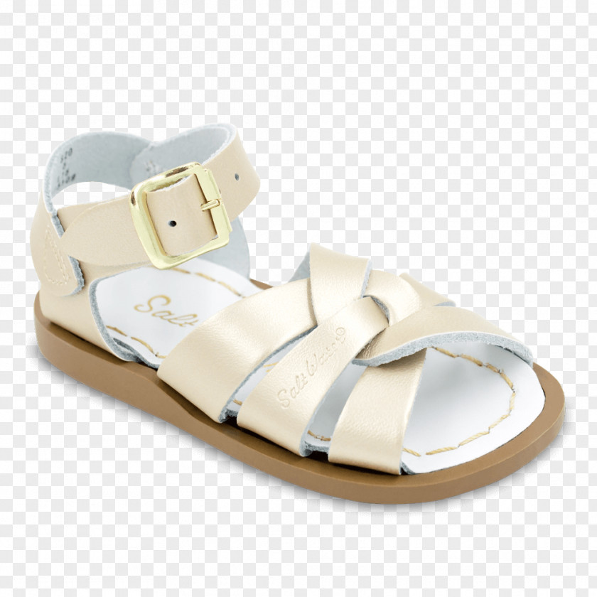 Sandals Saltwater Hoy Shoe Co Clothing PNG