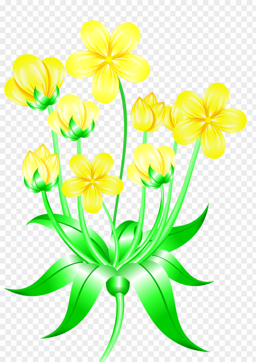 Umbrella Cut Flowers Floral Design Floristry Plant PNG