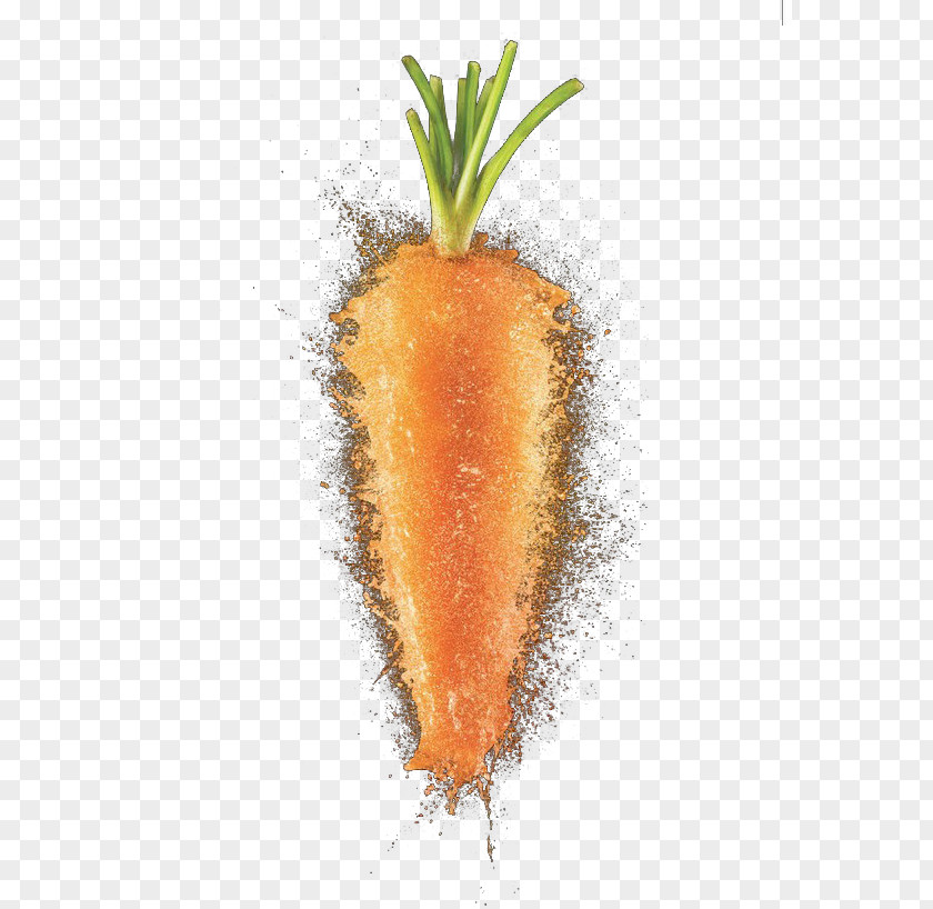 Carrot Orange Fruit PNG