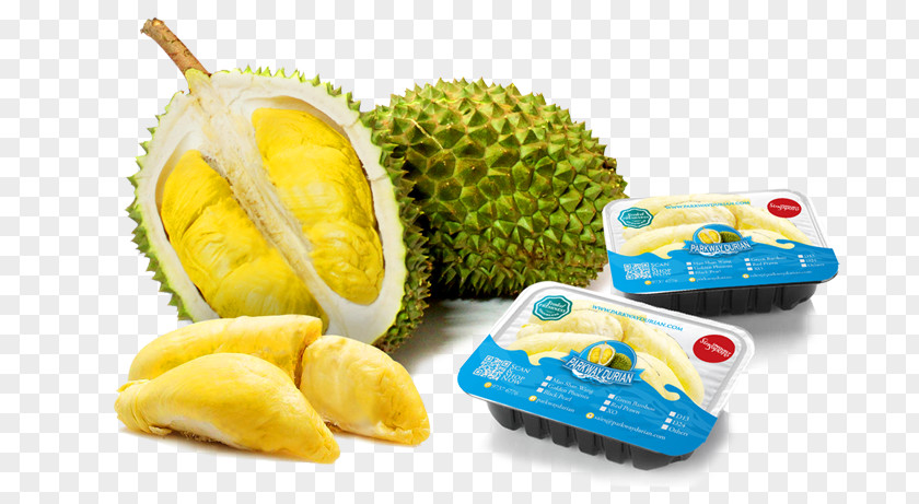Fruit Durian Bus Thai Cuisine Eggplant Yellow-fruit Nightshade PNG