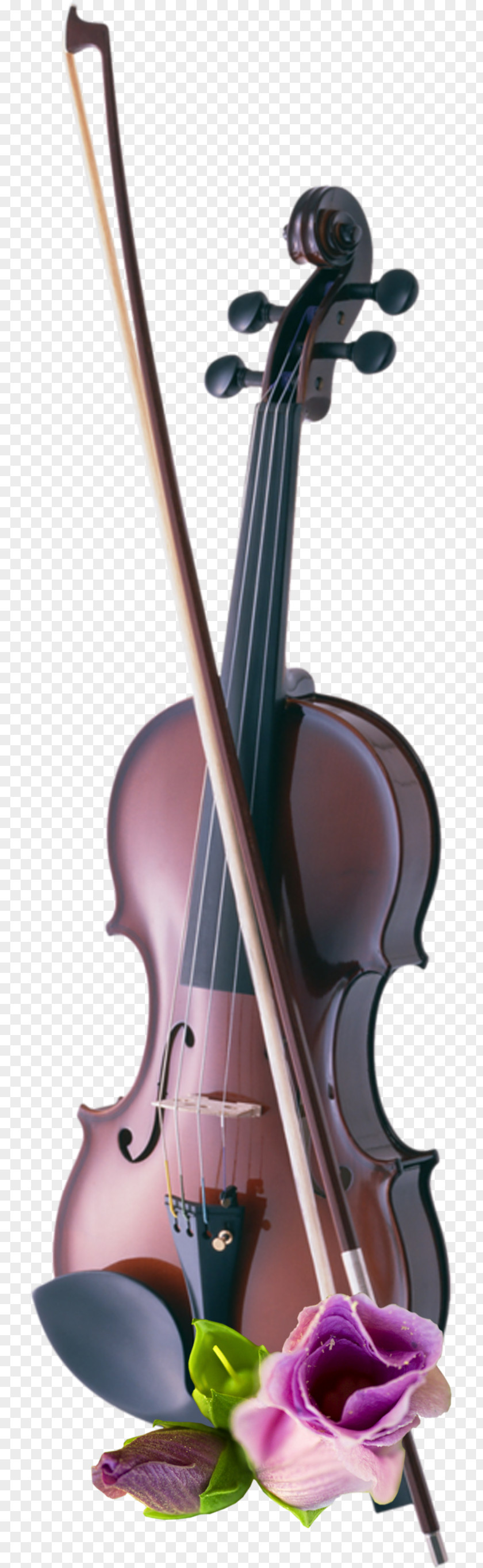 Violin Cello Musical Instruments String PNG