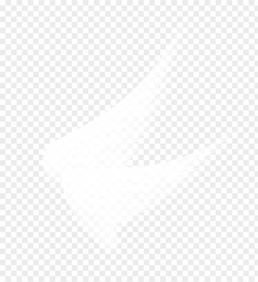 A Pair Of White Wings Cloud Google Images PNG
