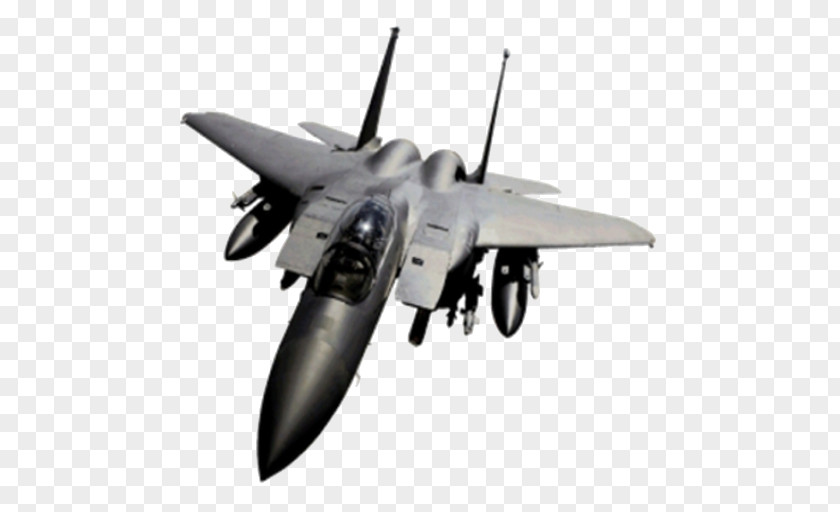 Airplane McDonnell Douglas F-15 Eagle Fighter Aircraft Military PNG