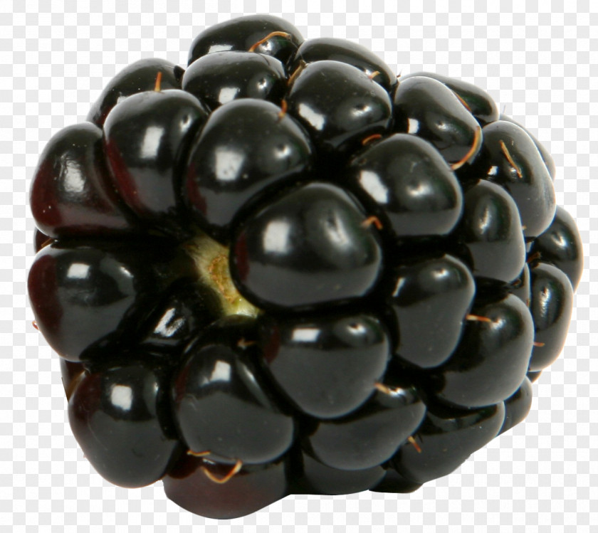 Blackberry Blueberry Raspberry Fruit PNG