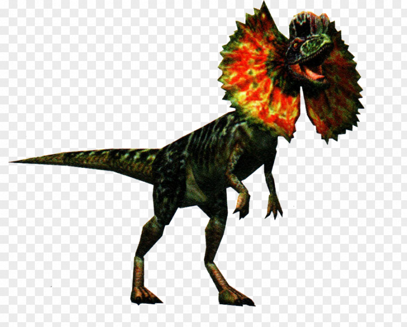 Dinosaur Dilophosaurus Jurassic Park Image Velociraptor PNG