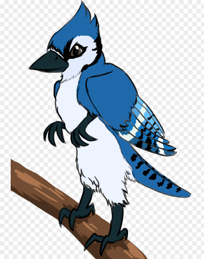 Feather Blue Jay Art Character Clip PNG