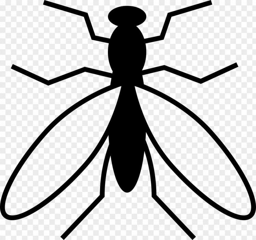 Mosquitos Symbol Illustration PNG