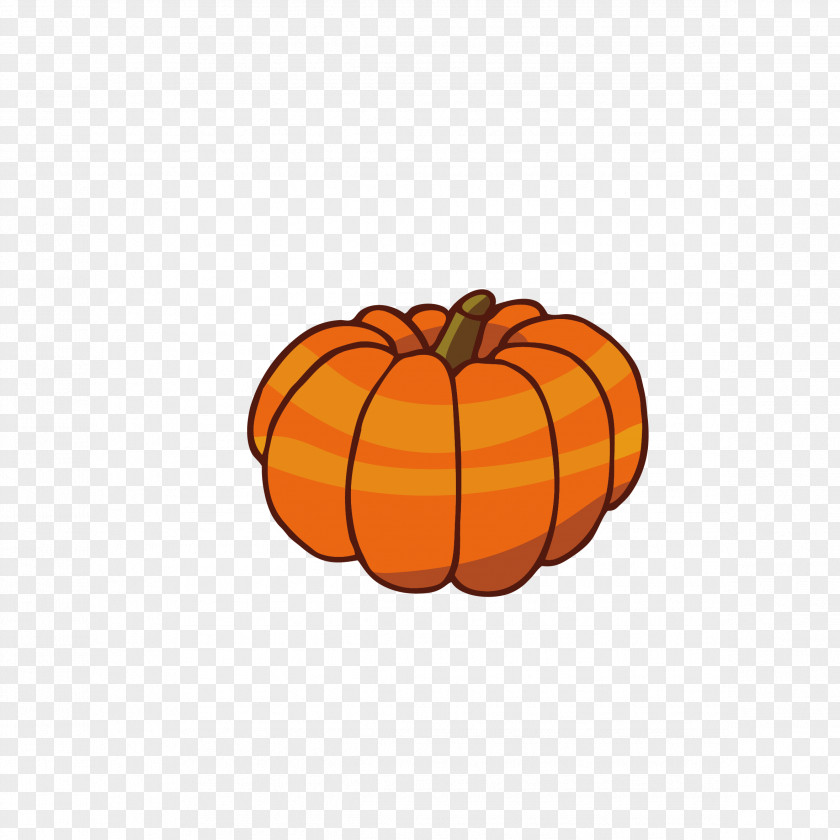 Pumpkin Calabaza Jack-o-lantern PNG