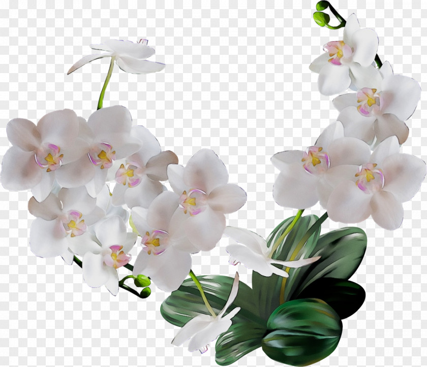 Artificial Flower Orchid PNG