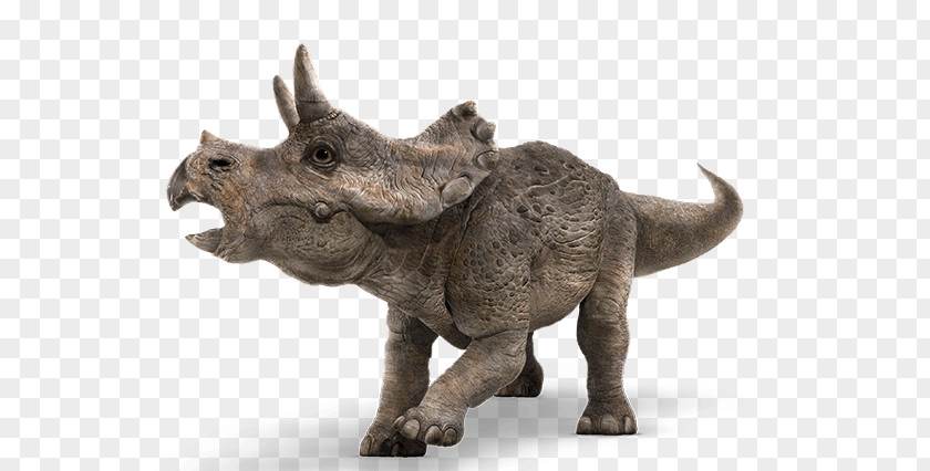 Baby Dinosaur Triceratops Tyrannosaurus Jurassic Park PNG