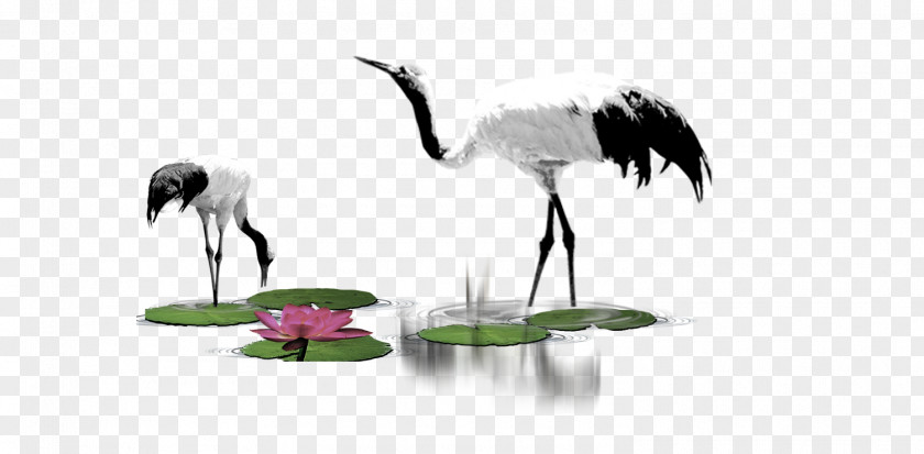 Crane Computer File PNG