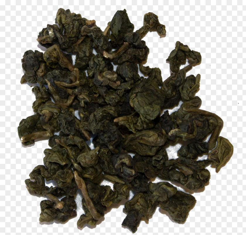 Nilgiri Tea Tieguanyin Camellia Sinensis PNG