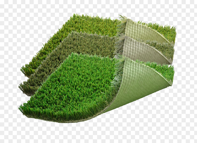 Turf Lawn Artificial Grasses Plant Shrub PNG