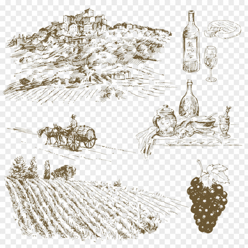 Village Field Wine Common Grape Vine Italian Cuisine Drawing PNG