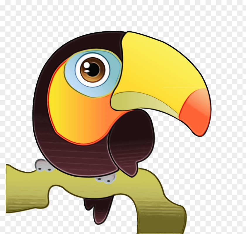 Cartoon Piciformes Bird Parrot PNG