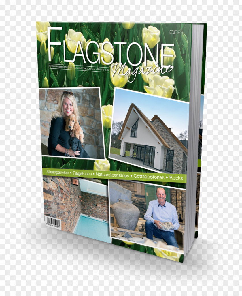 Flagstone Shelf Plastic Picture Frames PNG