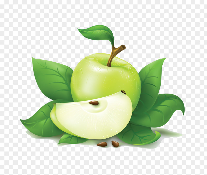 Green Apple Clip Art PNG