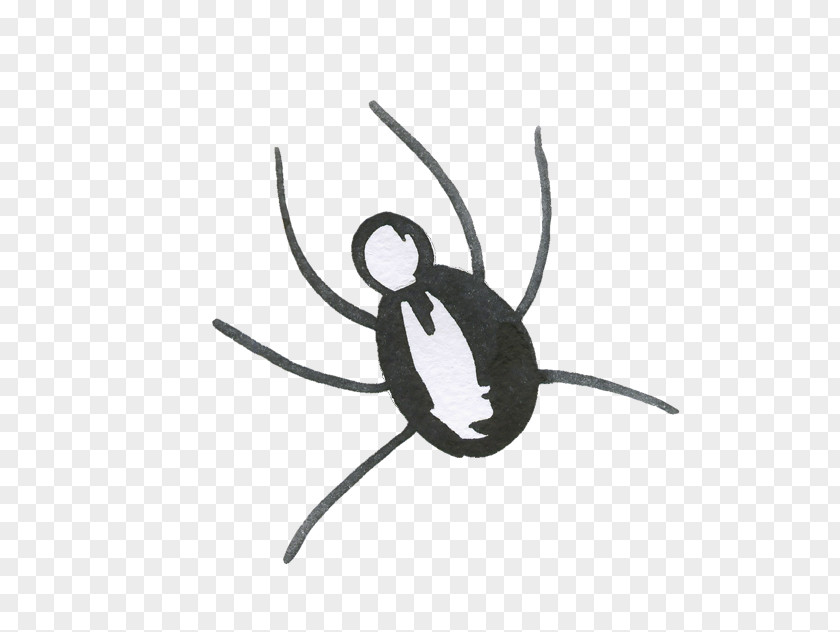 Halloween Spider Web PNG