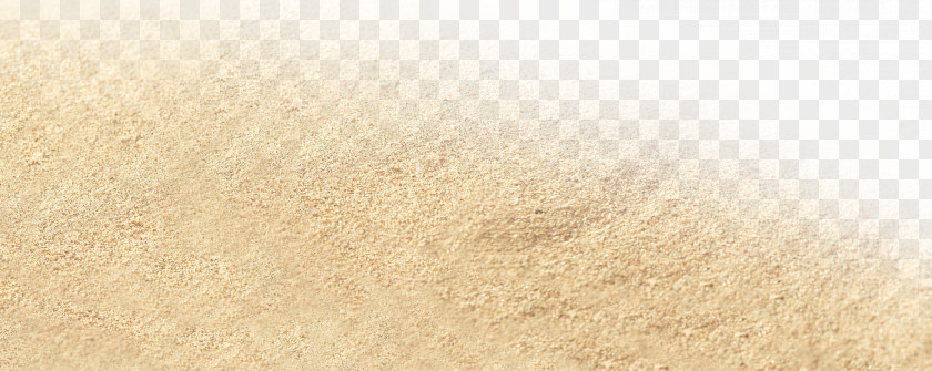 Sandy Beach Floor Hardwood PNG