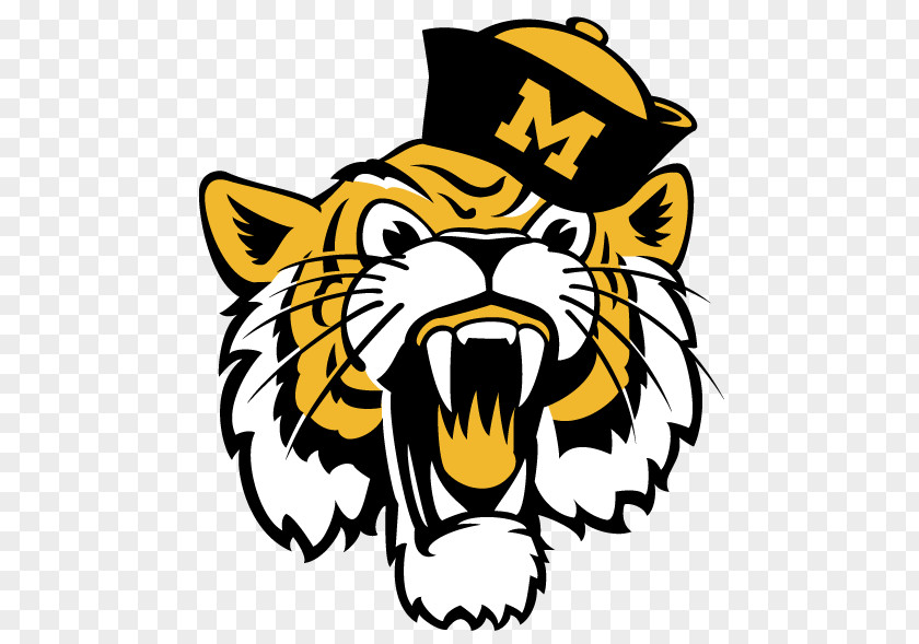 Tiger University Of Missouri Tigers Football Logo Baseball PNG