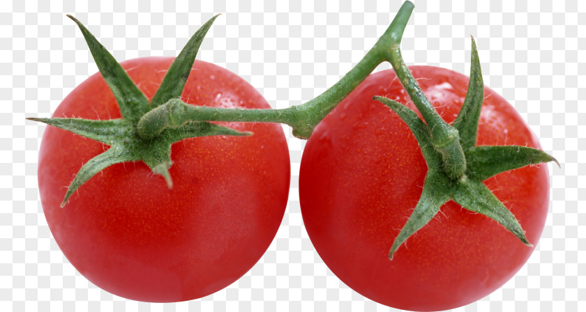 Vegetable Tomato Juice Cherry Marinara Sauce PNG