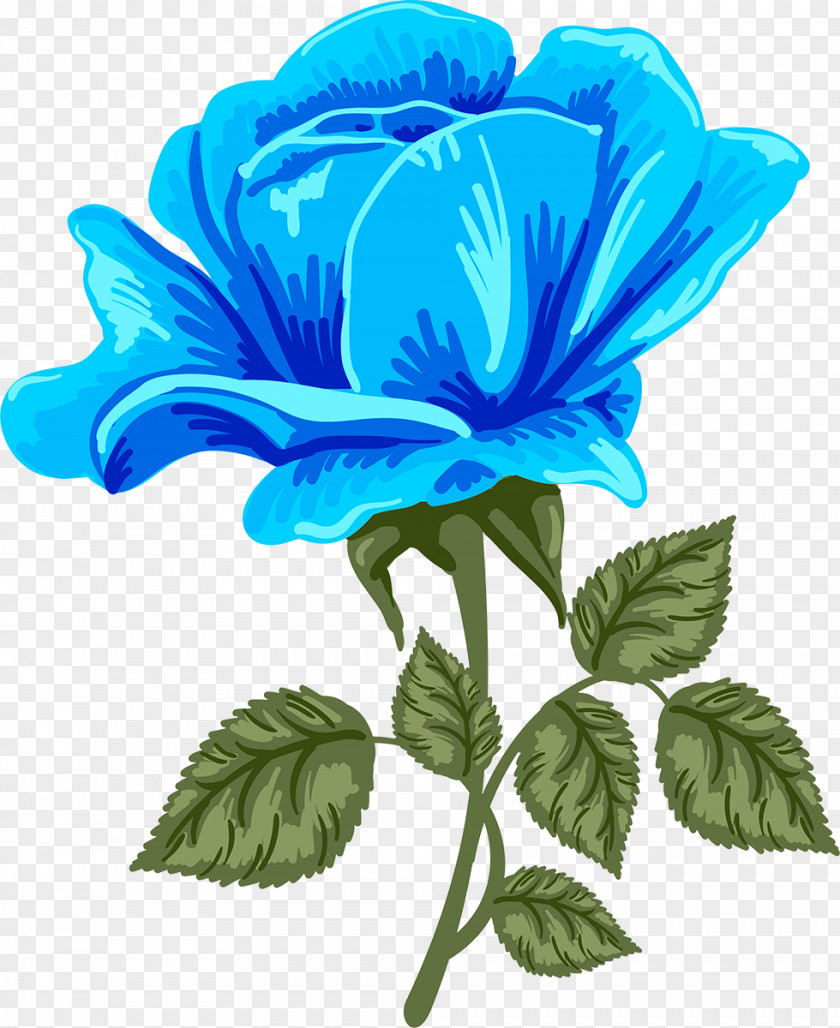 Blue Rose Pink Clip Art PNG