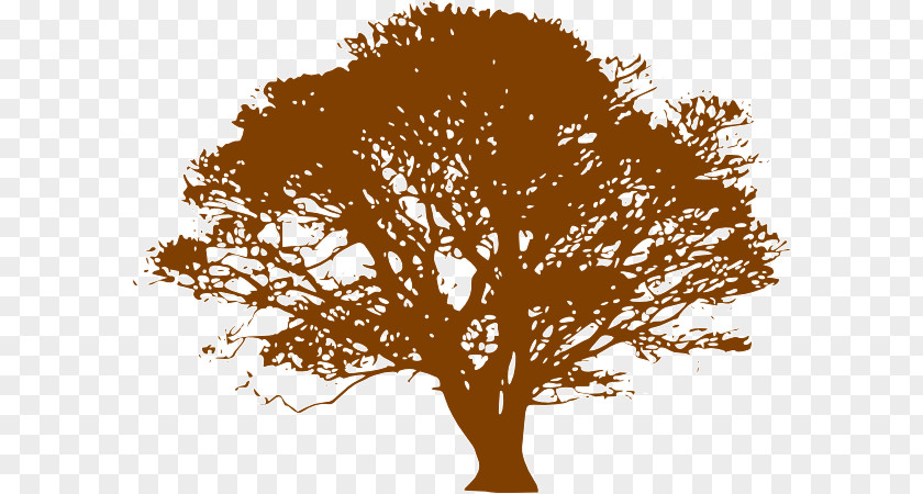 Brown Tree Drawing Trunk Clip Art PNG