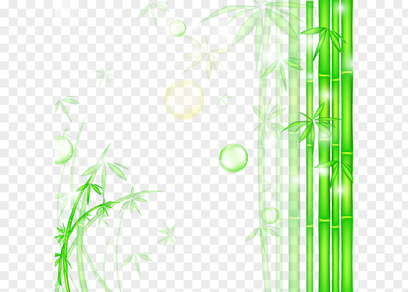 Fresh Green Bamboo Background Graphic Design Wallpaper PNG