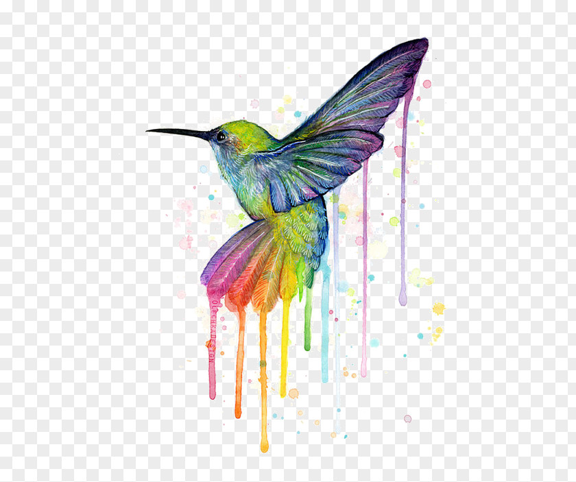 Painting Hummingbird Printmaking Watercolor Canvas Print PNG