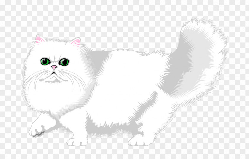 Persian Cat Whiskers Kitten Domestic Short-haired Clip Art PNG