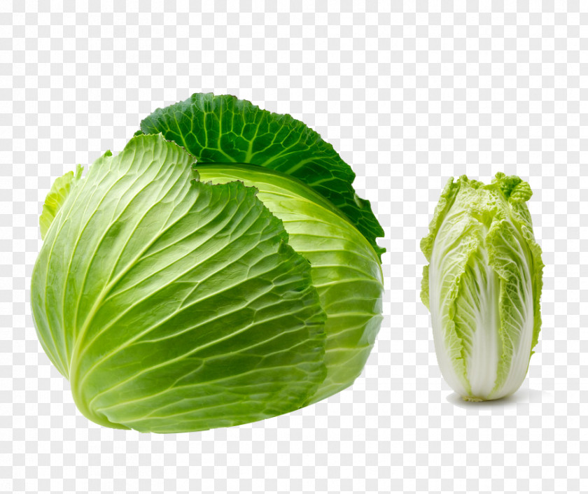 Two Cabbage Vegetable Seed Fruit Kimchi PNG