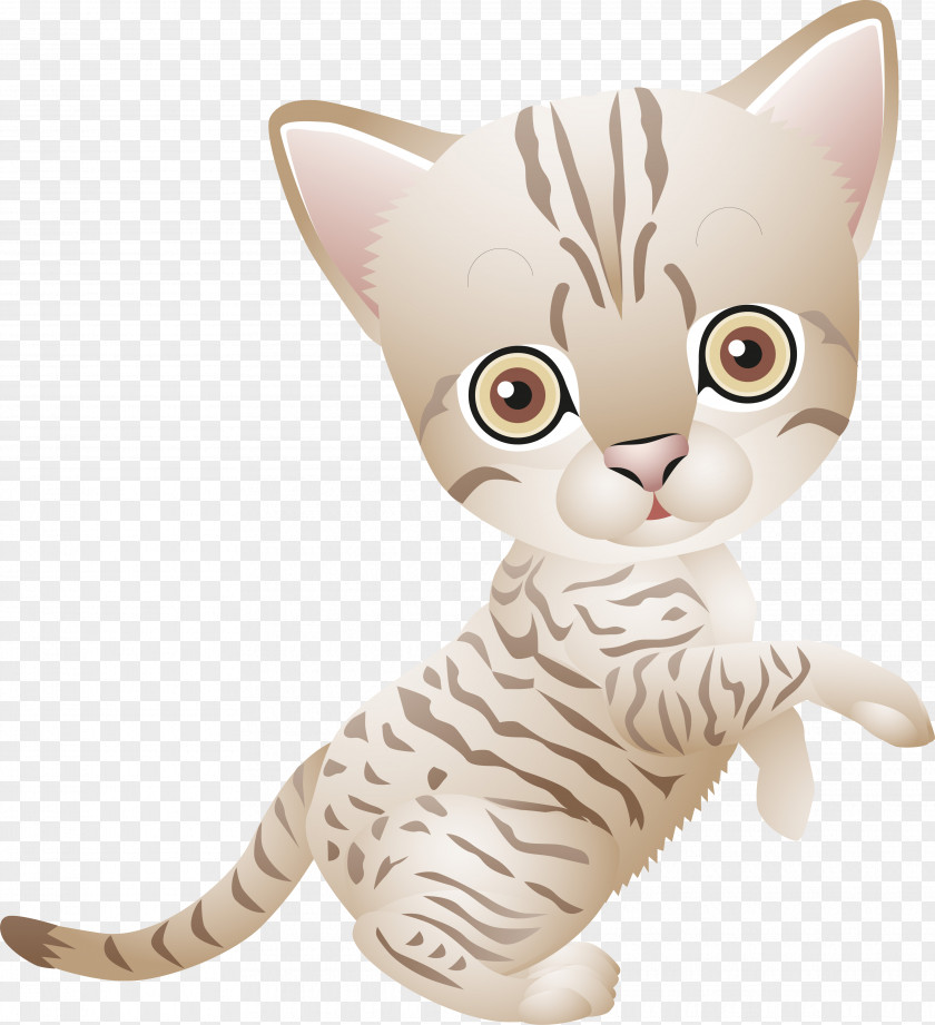 Cat Kitten Drawing PNG
