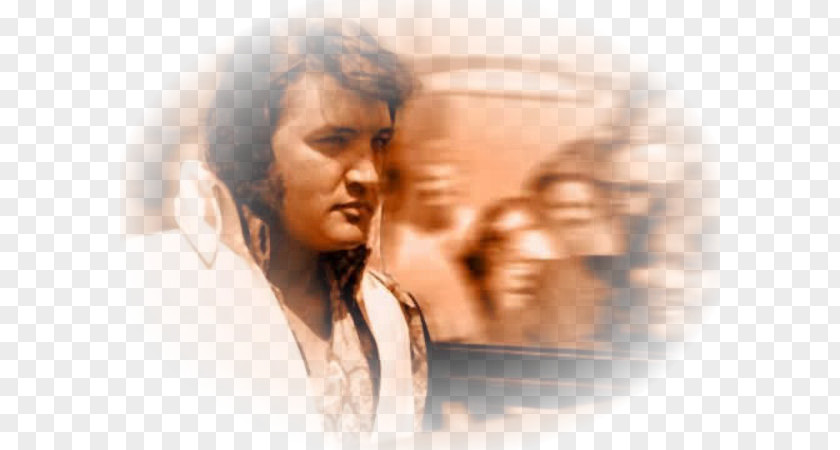 Elvis Presley Eyebrow Forehead Human Behavior Long Hair PNG