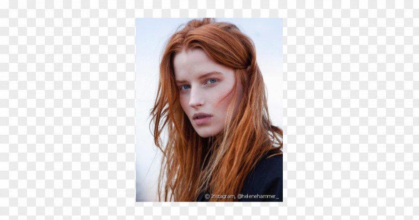 Hair Blond Red Coloring Brown PNG