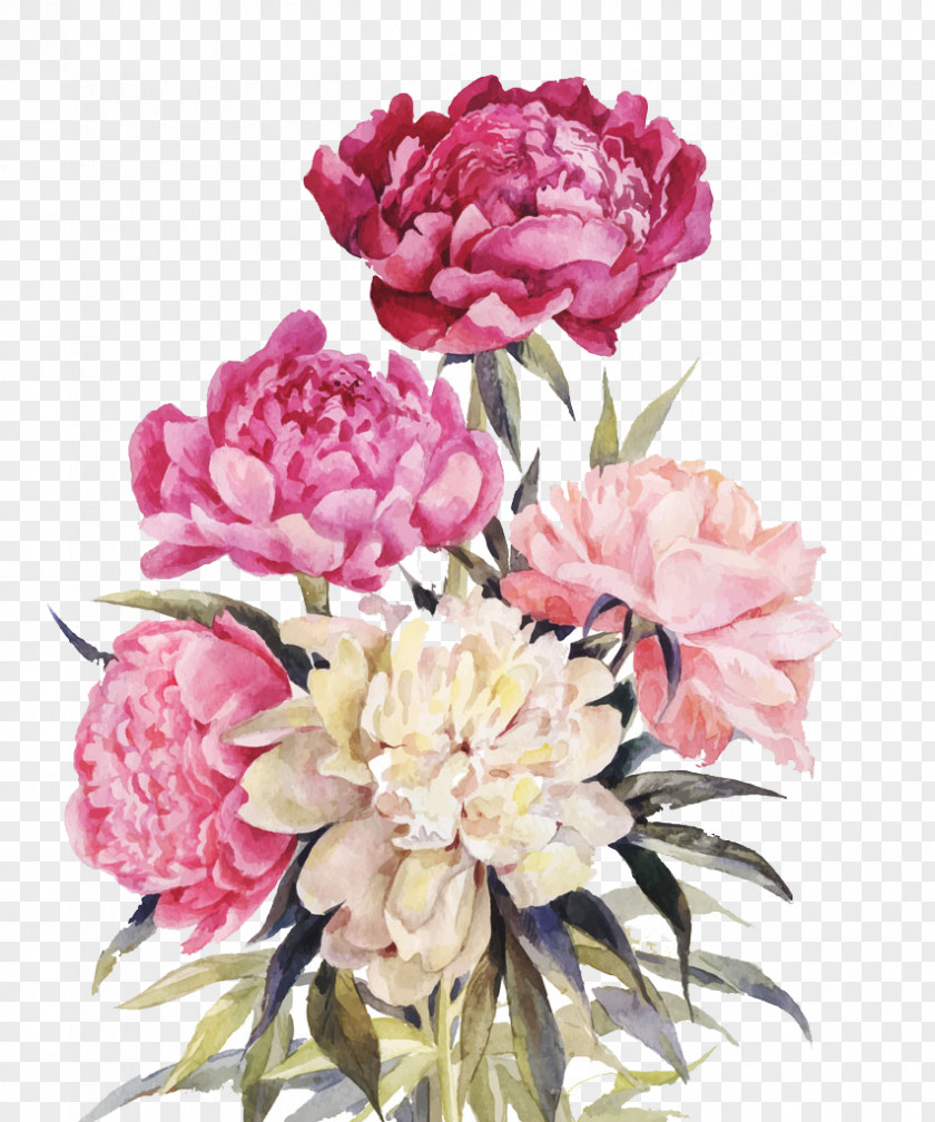 Pink And Red Flowers Peony Flower Bouquet Illustration PNG