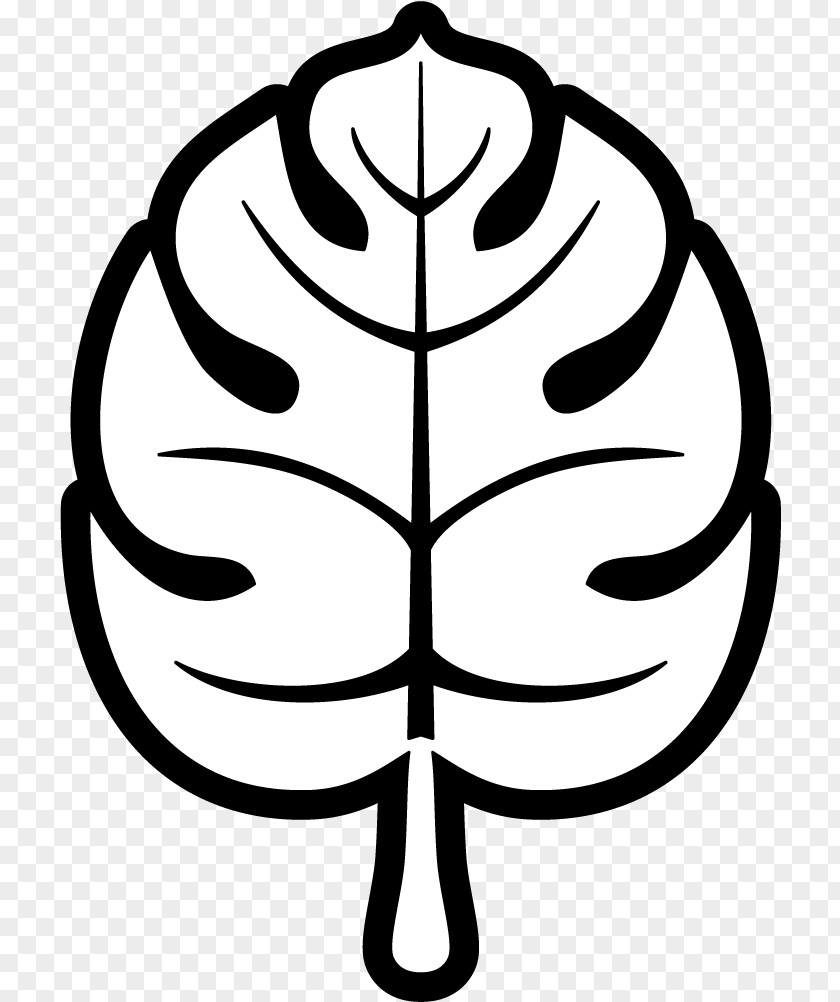 Symmetry Plant Leaf Line Art Clip Symbol Black-and-white PNG