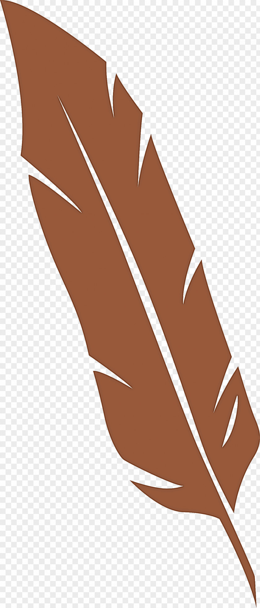 Feather PNG