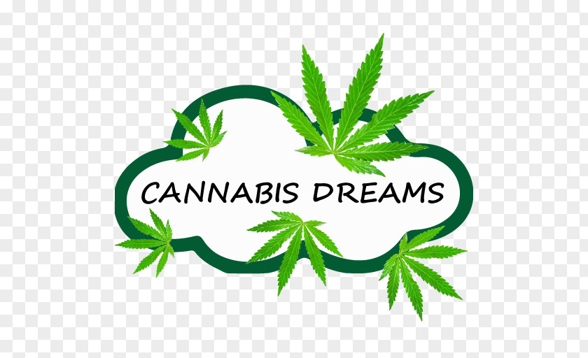 Android Cannabis Dreams Google Play Icomania Guess The Icon Quiz PNG