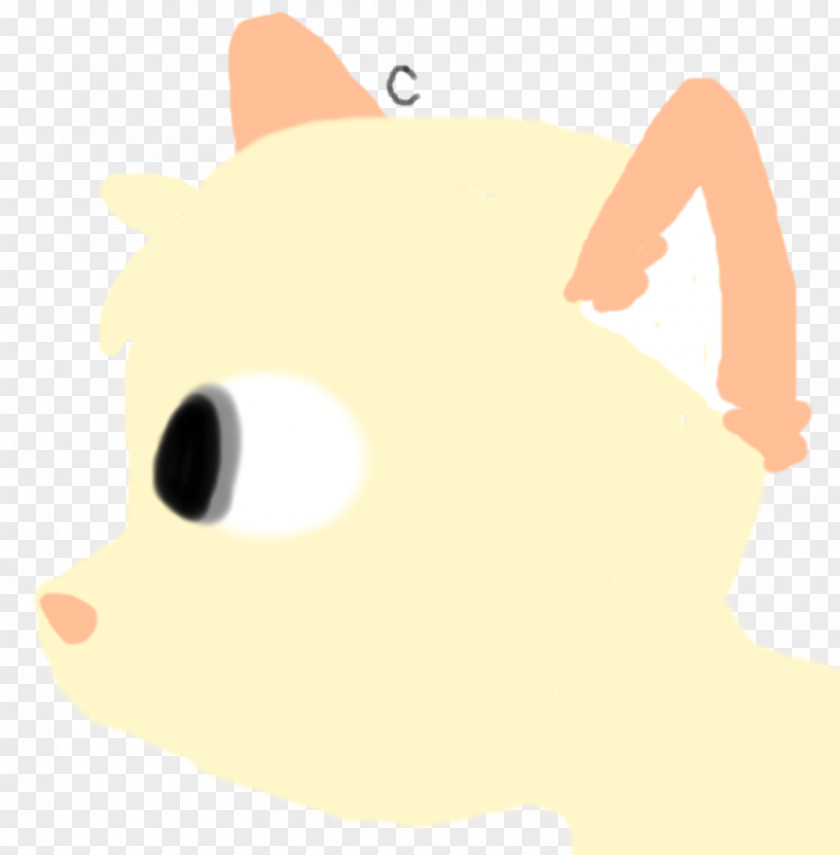 Cat Whiskers Rat Canidae Dog PNG